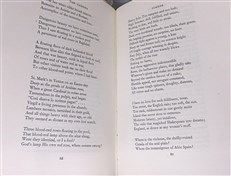 The Garden (Limited Edition, Signed)