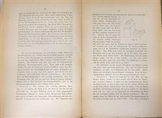 Grundlinien der Lehre von Den Bewegungsempfindungen