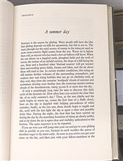 Free As A Bird Signed by the Author 