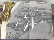 Free As A Bird Signed by the Author 