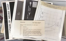 British And Other Supersonic Aircraft Development 