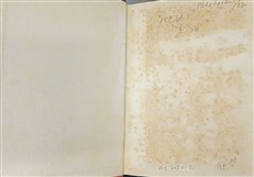 The Land (First Edition)