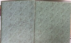 European Butterflies And Moths