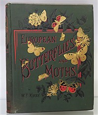 European Butterflies And Moths