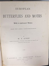 European Butterflies And Moths