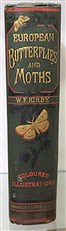 European Butterflies And Moths