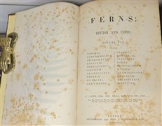 Ferns British And Exotic Complete In Eight Volumes 