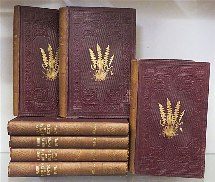 Ferns British And Exotic Complete In Eight Volumes 