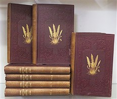 Ferns British And Exotic Complete In Eight Volumes 