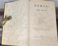 Ferns British And Exotic Complete In Eight Volumes 