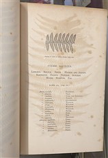 Ferns British And Exotic Complete In Eight Volumes 