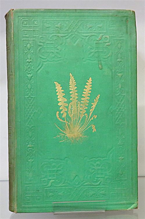 A Natural History Of New And Rare Ferns 