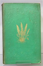A Natural History Of New And Rare Ferns 