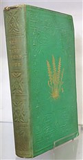 A Natural History Of New And Rare Ferns 