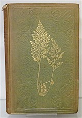 A History Of British Ferns 