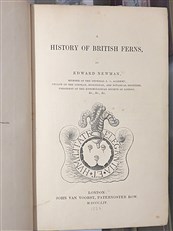 A History Of British Ferns 