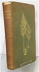 A History Of British Ferns 