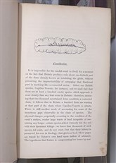 A History Of British Ferns 