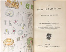 The Aquarian Naturalist. A Manual for the Sea-Side