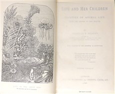 Life & Her Children
