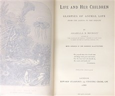 Life & Her Children
