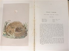 A Natural History of the Nests and Eggs of British Birds (Second Edition)