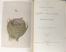 A Natural History of the Nests and Eggs of British Birds (Second Edition)