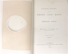 A Natural History of the Nests and Eggs of British Birds (Second Edition)