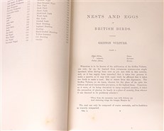 A Natural History of the Nests and Eggs of British Birds (Second Edition)