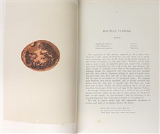 A Natural History of the Nests and Eggs of British Birds (Second Edition)