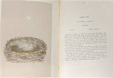 A Natural History of the Nests and Eggs of British Birds (Second Edition)