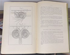 L'Aeroplane De L'Avenir 