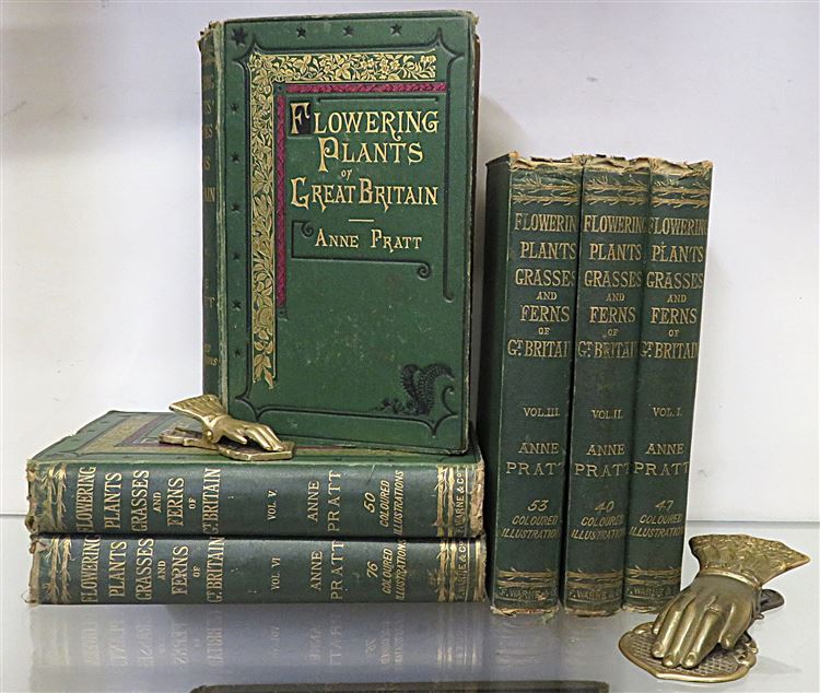 The Flowering Plants, Grasses, Sedges, And Ferns of Great Britain And Their Allies The Club Moses, Pepperworts, And Horsetails Volumes I - VI