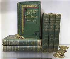 The Flowering Plants, Grasses, Sedges, And Ferns of Great Britain And Their Allies The Club Moses, Pepperworts, And Horsetails Volumes I - VI