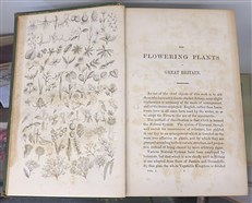 The Flowering Plants, Grasses, Sedges, And Ferns of Great Britain And Their Allies The Club Moses, Pepperworts, And Horsetails Volumes I - VI