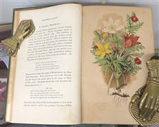 The Flowering Plants, Grasses, Sedges, And Ferns of Great Britain And Their Allies The Club Moses, Pepperworts, And Horsetails Volumes I - VI