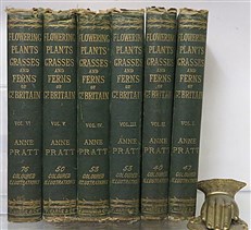 The Flowering Plants, Grasses, Sedges, And Ferns of Great Britain And Their Allies The Club Moses, Pepperworts, And Horsetails Volumes I - VI