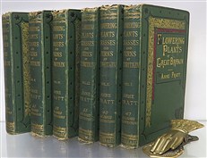 The Flowering Plants, Grasses, Sedges, And Ferns of Great Britain And Their Allies The Club Moses, Pepperworts, And Horsetails Volumes I - VI