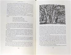 Lark Rise to Candleford