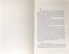 The Fire Engine that Disappeared: The Story of a Crime