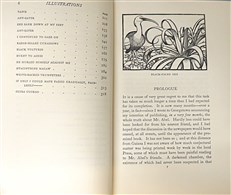 Green Mansions: A Romance of the Tropical Forest