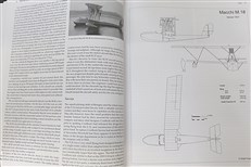 Schneider Trophy Seaplanes and Flying Boats: Victors, Vanquished and Visions