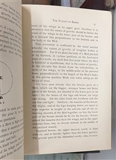 Aeronautical Classics No. 6 The Flight Of Birds 