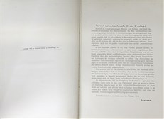 Die internationalen Luftschiffe und Flugdrachen