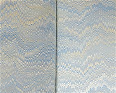 Requiem for a Wren (First Edition)