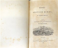 Bewick's British Birds (2 Volume Set)