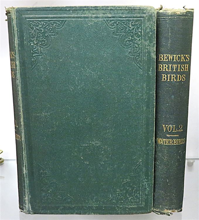 Bewick's British Birds (2 Volume Set)