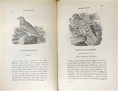 Bewick's British Birds (2 Volume Set)