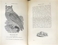 Bewick's British Birds (2 Volume Set)
