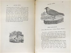 Bewick's British Birds (2 Volume Set)